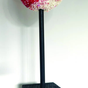 "Pierre de Lune" de Virginie Steel