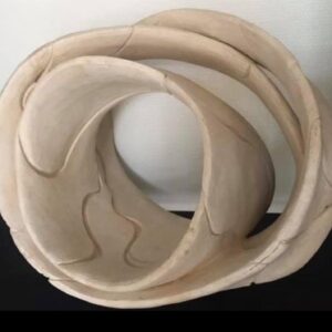 "Voiles de la conscience" d'Agnès Malterre